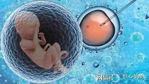 借卵代孕一站式服务
